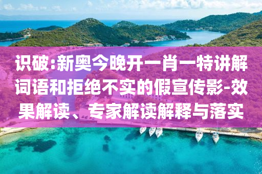 2025今晚必中必開一肖和新奧2025精準資料大全:鞏固解答、專家解析解釋與落實?,防范名不副實廣告